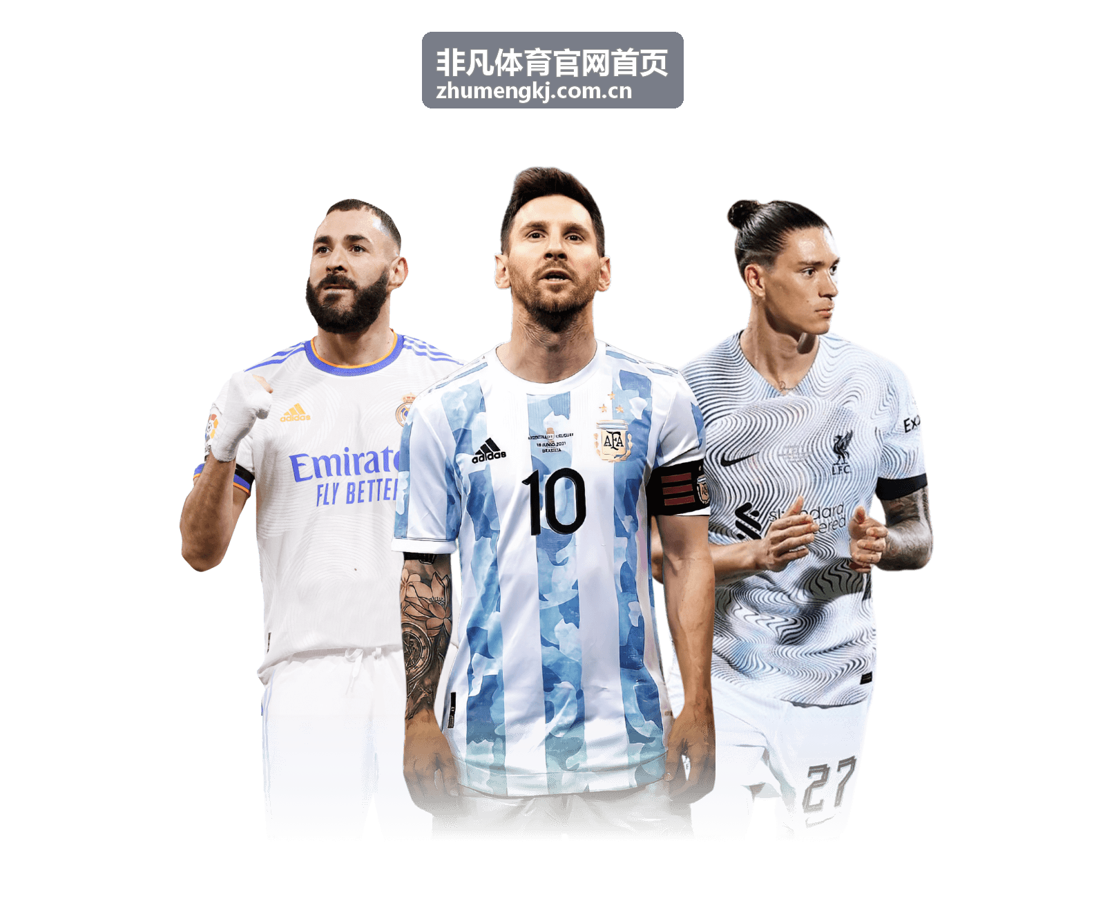NBA季后赛完整战报与数据