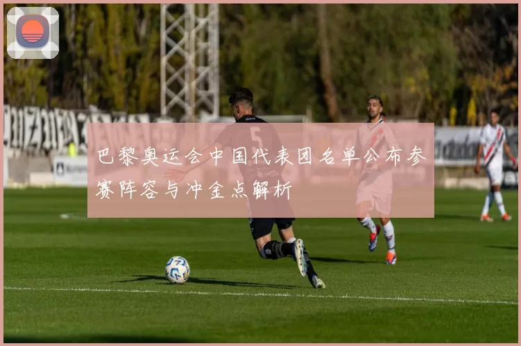 巴黎奥运会中国代表团名单公布参赛阵容与冲金点解析