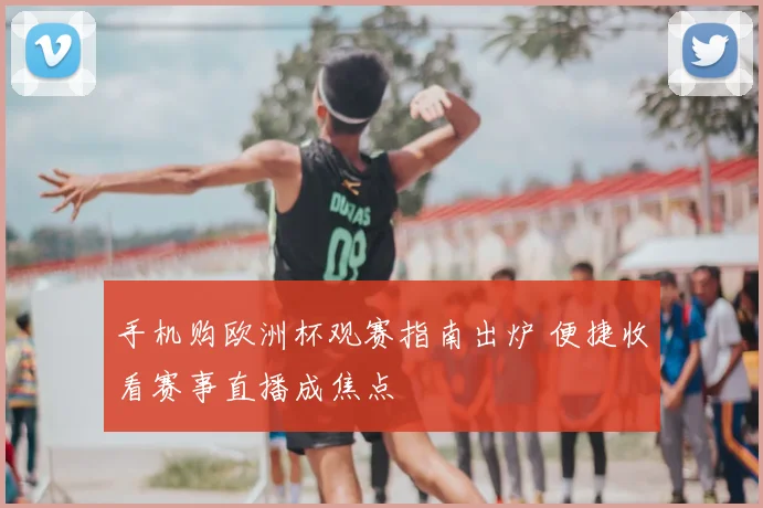 手机购欧洲杯观赛指南出炉 便捷收看赛事直播成焦点