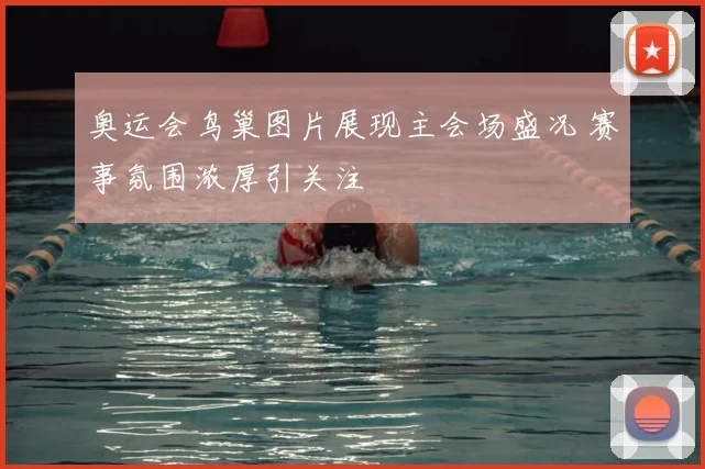 奥运会鸟巢图片展现主会场盛况 赛事氛围浓厚引关注