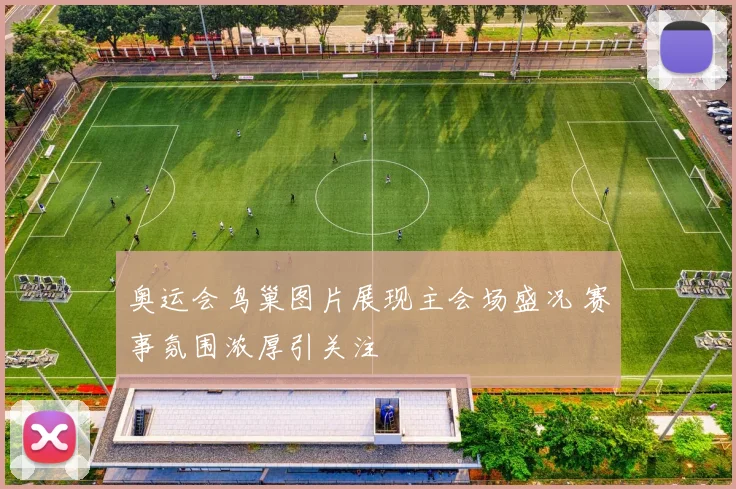 奥运会鸟巢图片展现主会场盛况 赛事氛围浓厚引关注